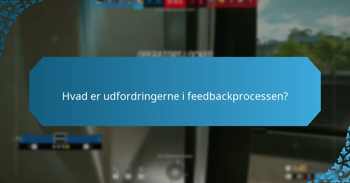 Hvad er udfordringerne i feedbackprocessen?